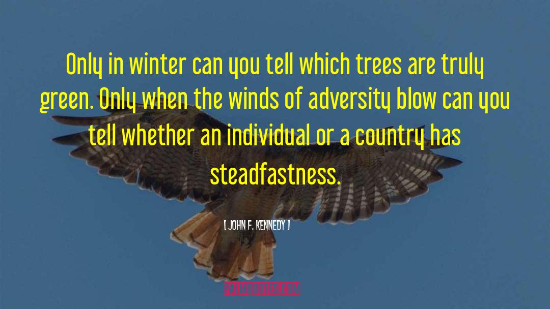 Steadfastness quotes by John F. Kennedy