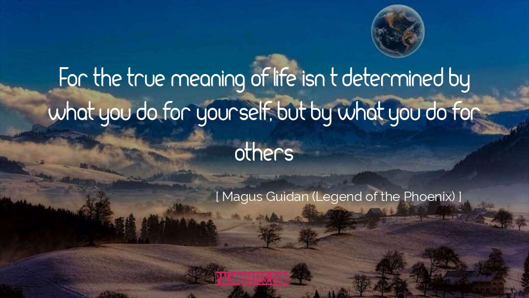 Stealing Phoenix quotes by Magus Guidan (Legend Of The Phoenix)