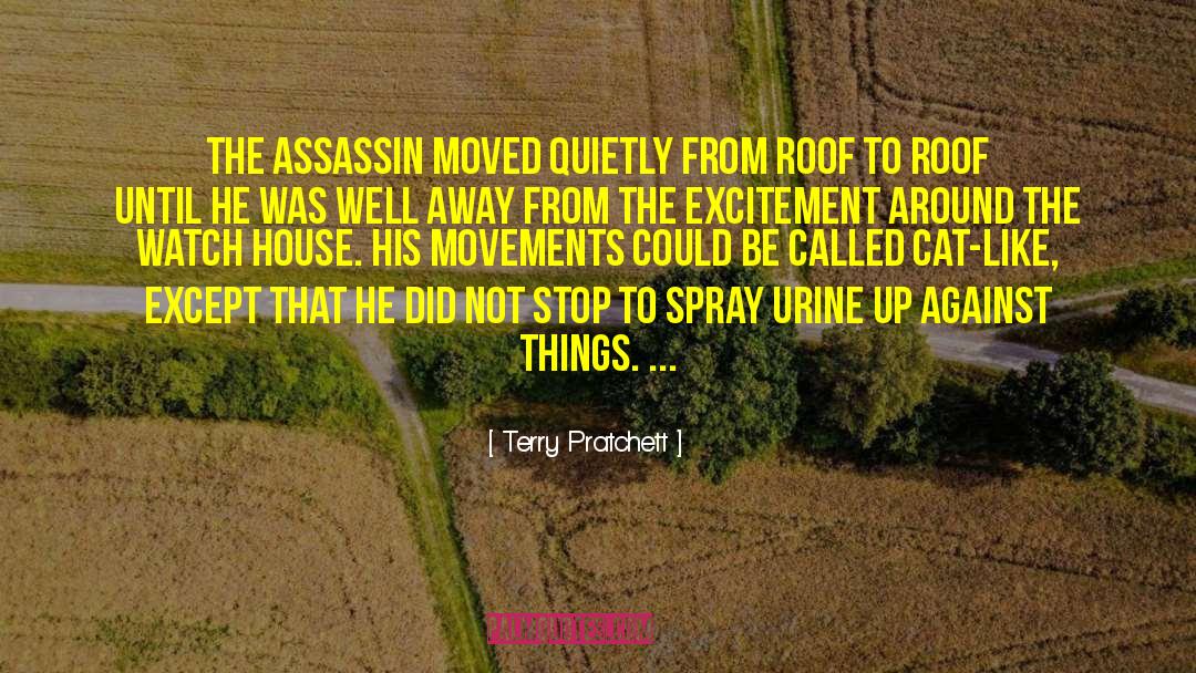 Stealth quotes by Terry Pratchett