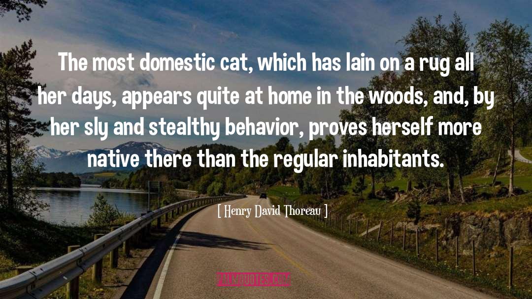 Stealthy quotes by Henry David Thoreau