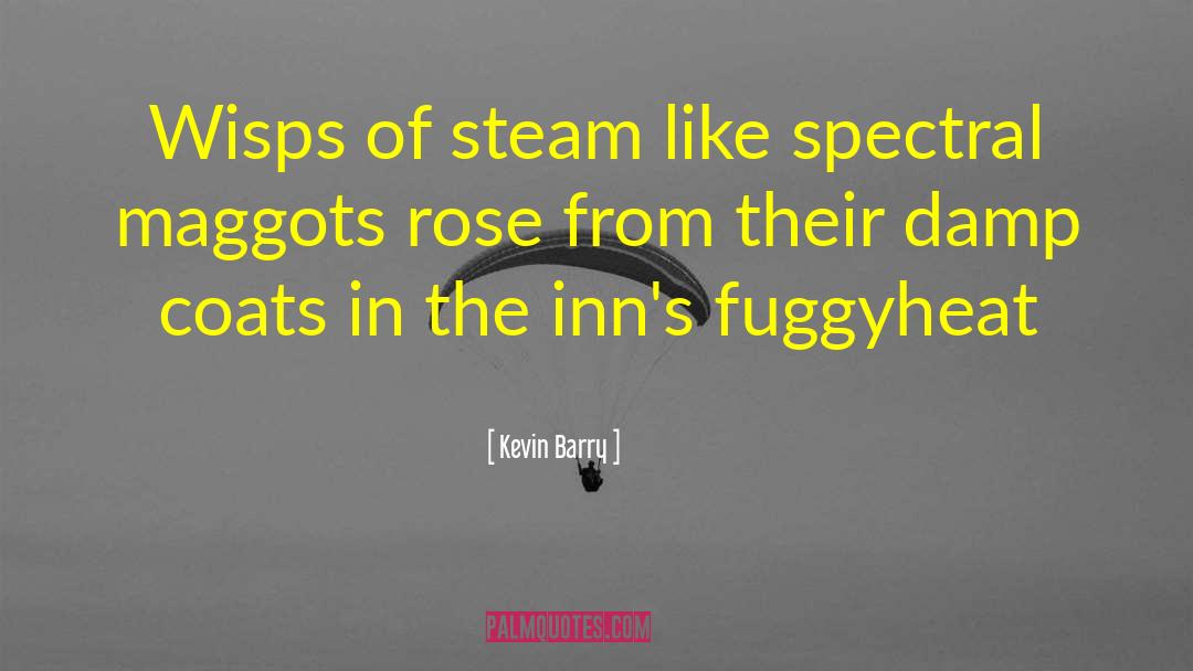 Steam Engine quotes by Kevin Barry