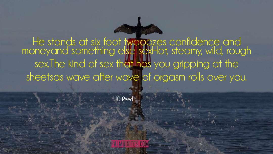 Steamy quotes by J.C. Reed