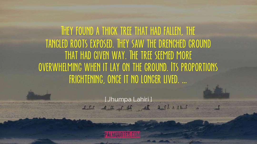 Stecklein Tree quotes by Jhumpa Lahiri
