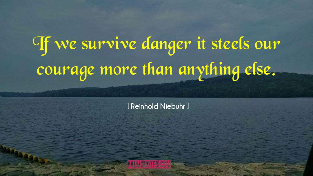 Steels quotes by Reinhold Niebuhr