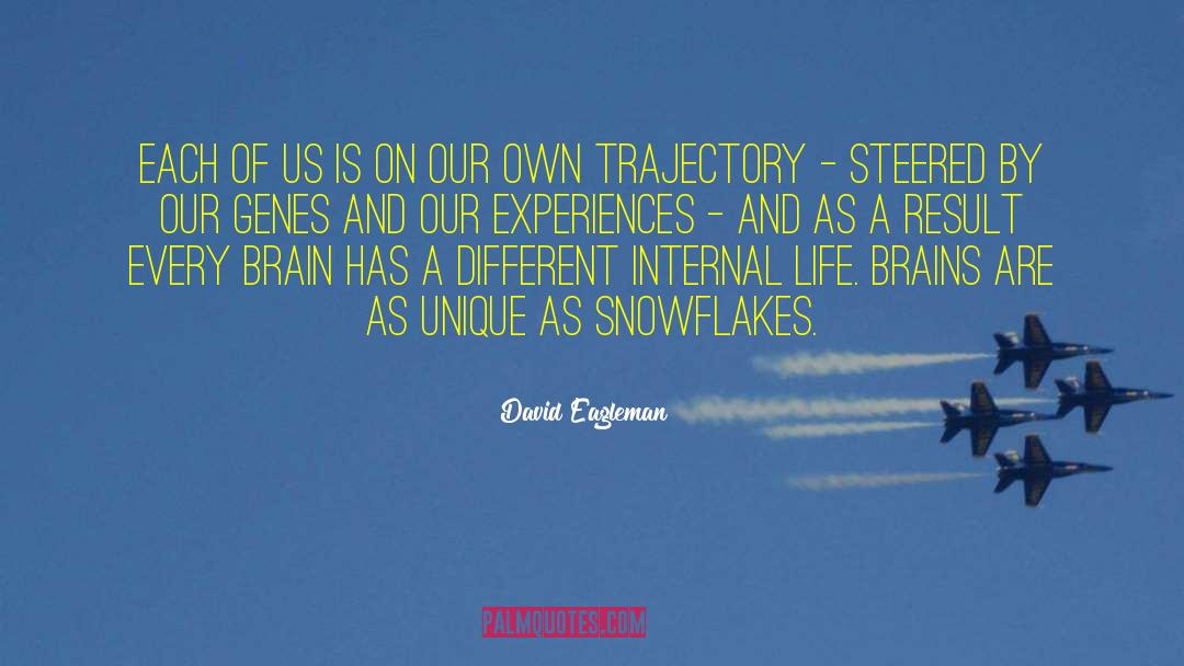 Steered quotes by David Eagleman