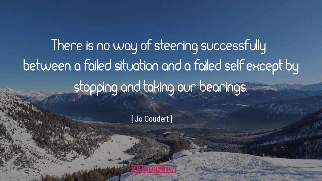 Steering quotes by Jo Coudert