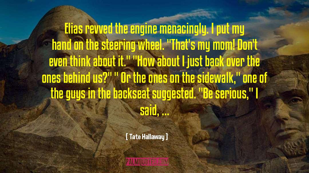 Steering quotes by Tate Hallaway