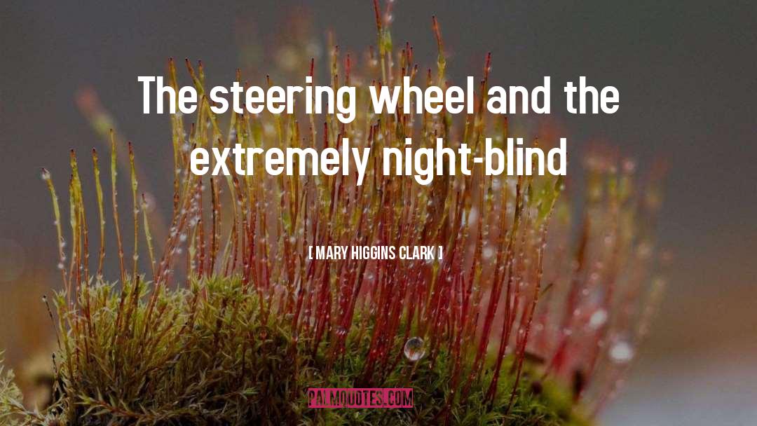 Steering Wheel quotes by Mary Higgins Clark