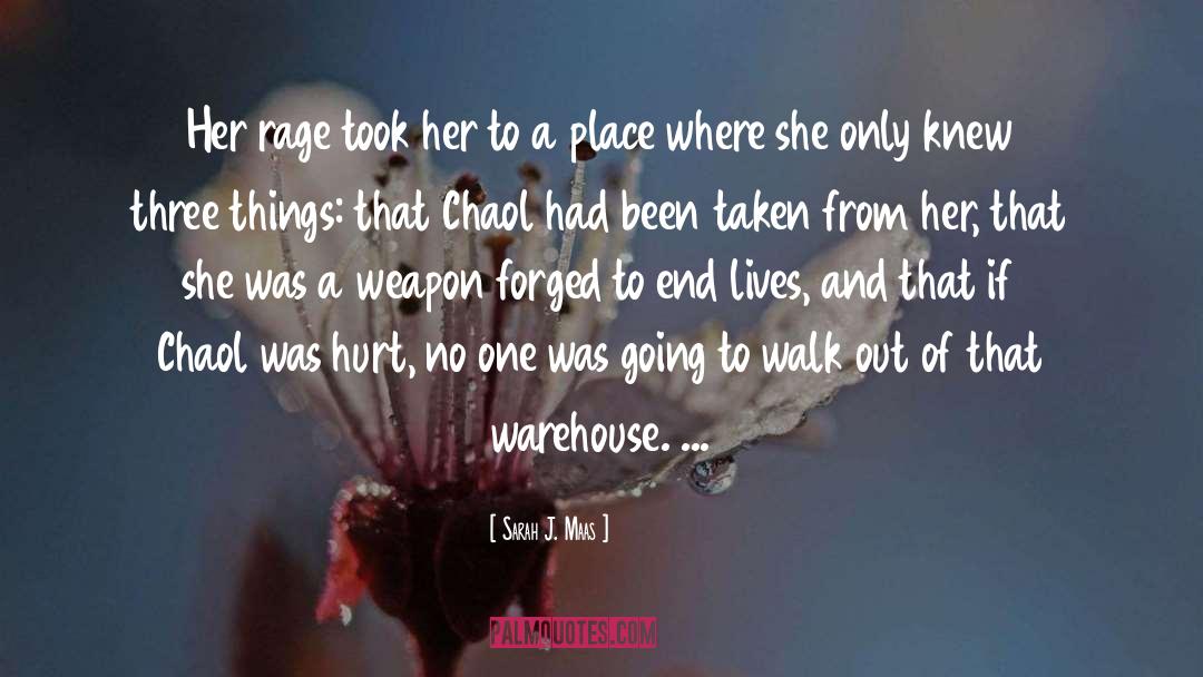 Stegers Warehouse quotes by Sarah J. Maas