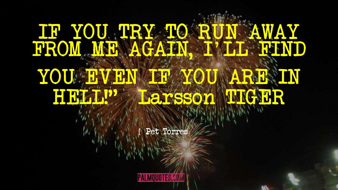 Steig Larsson quotes by Pet Torres