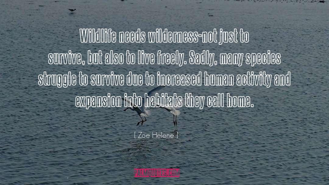 Steigerwald Wildlife quotes by Zoe Helene