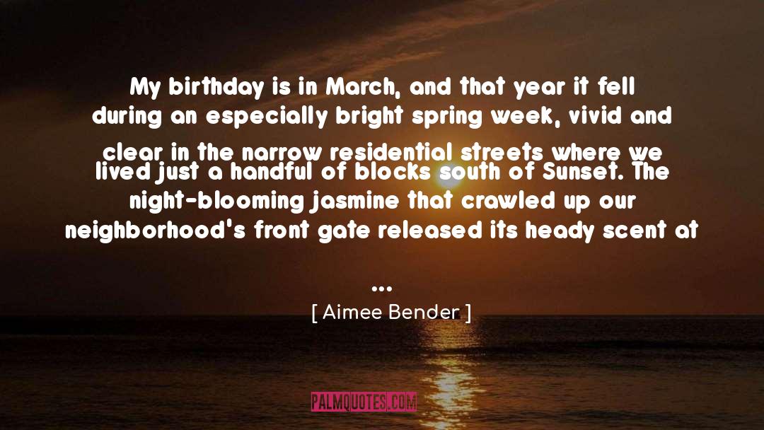 Steijn Schothorsts Birthday quotes by Aimee Bender