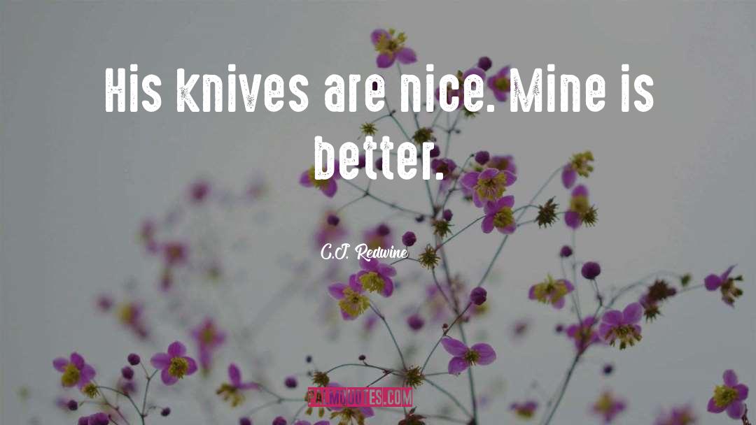 Steingass Knives quotes by C.J. Redwine