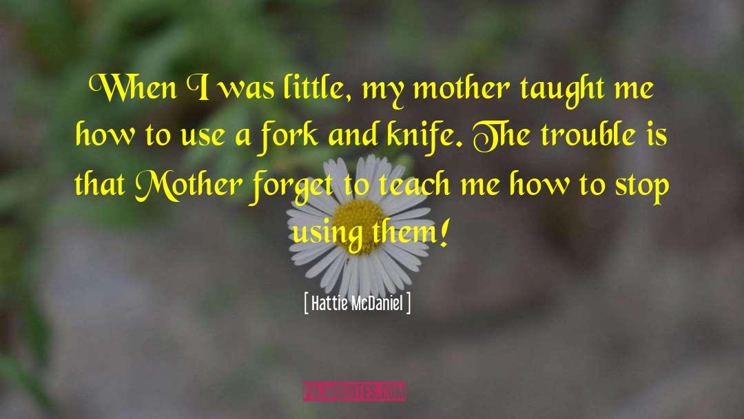 Steingass Knives quotes by Hattie McDaniel