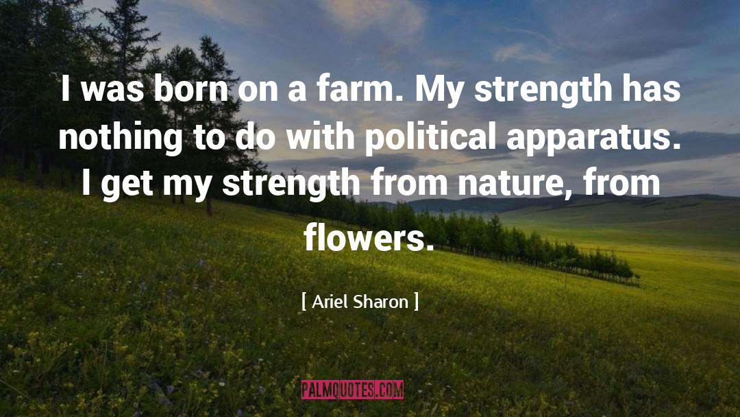 Steketee Farm quotes by Ariel Sharon