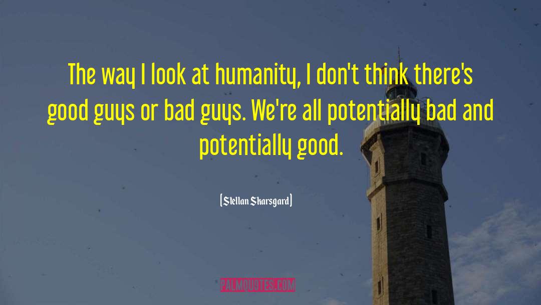 Stellan quotes by Stellan Skarsgard