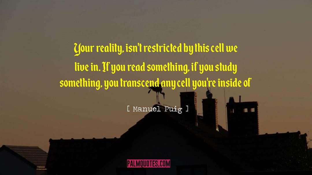 Stem Cell quotes by Manuel Puig