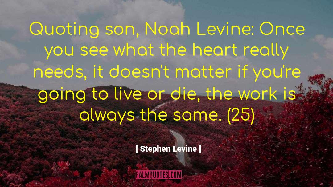 Stephen Levine quotes by Stephen Levine