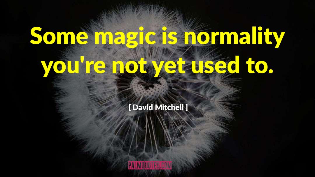 Stephen Mitchell quotes by David Mitchell