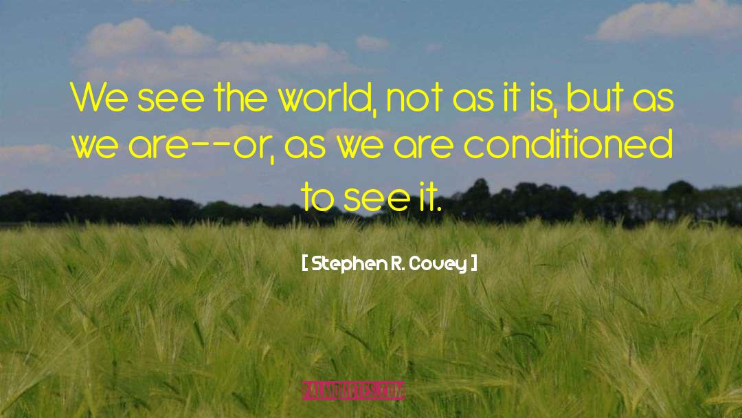 Stephen The Irishman quotes by Stephen R. Covey