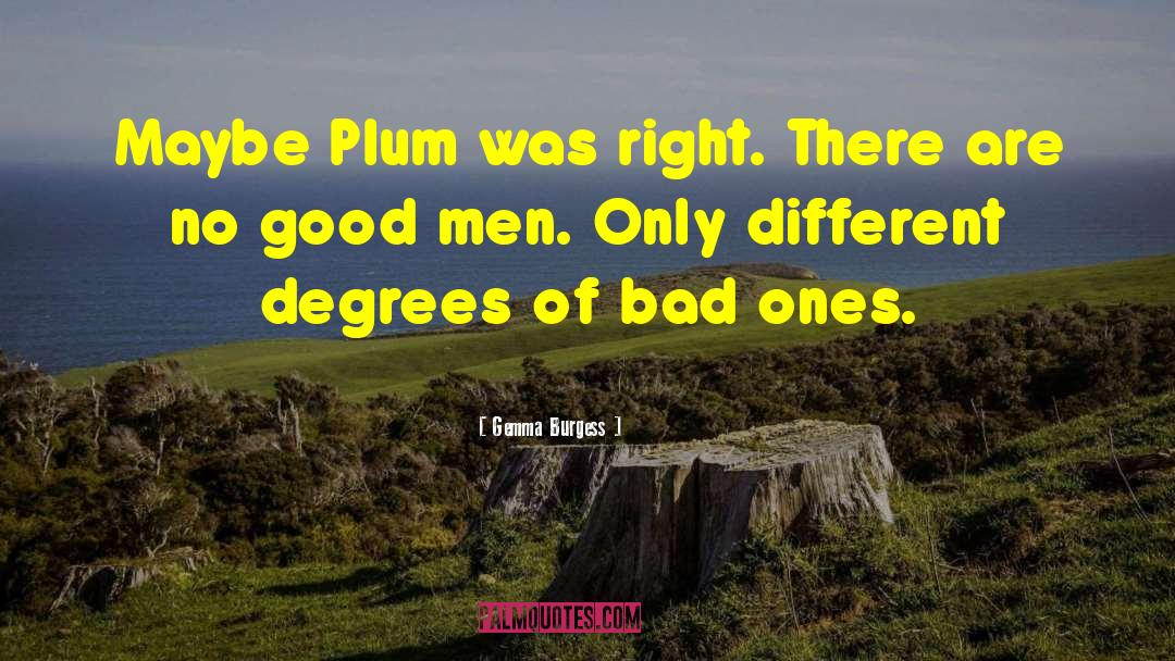 Stephine Plum quotes by Gemma Burgess