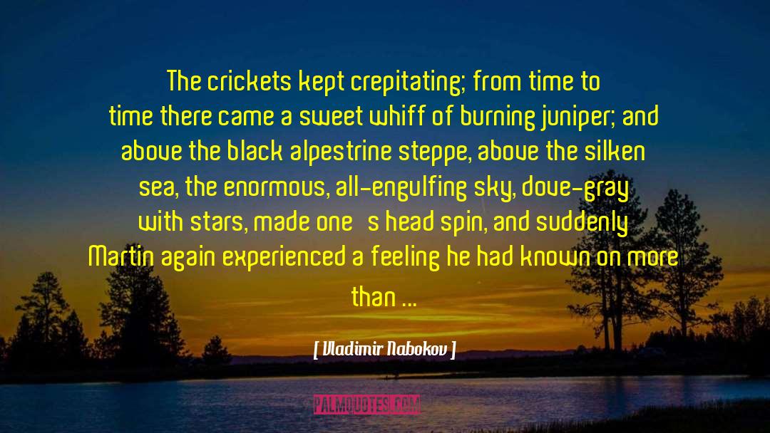 Steppe quotes by Vladimir Nabokov