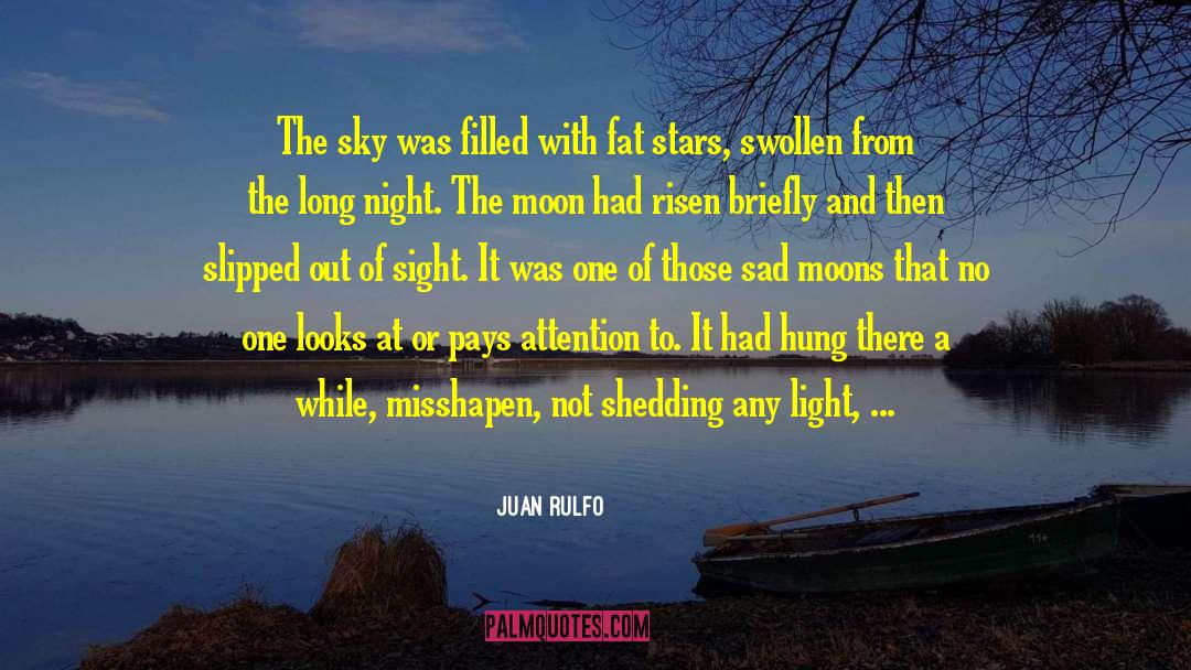 Stepping Out Of The Light quotes by Juan Rulfo