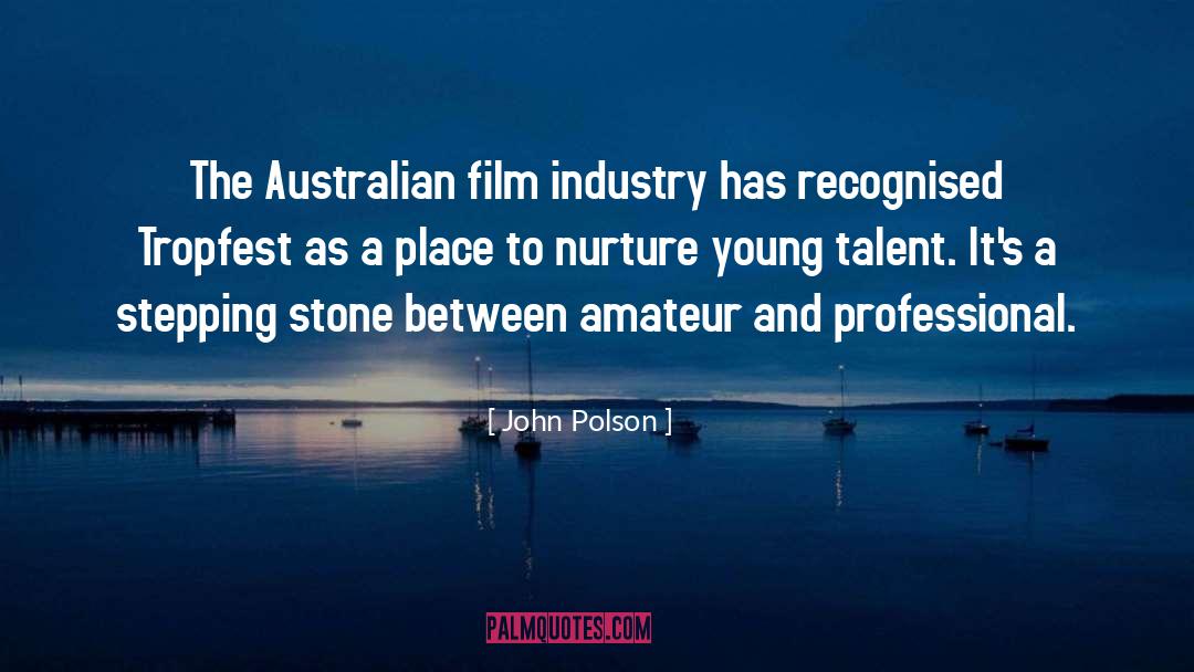 Stepping Stone quotes by John Polson