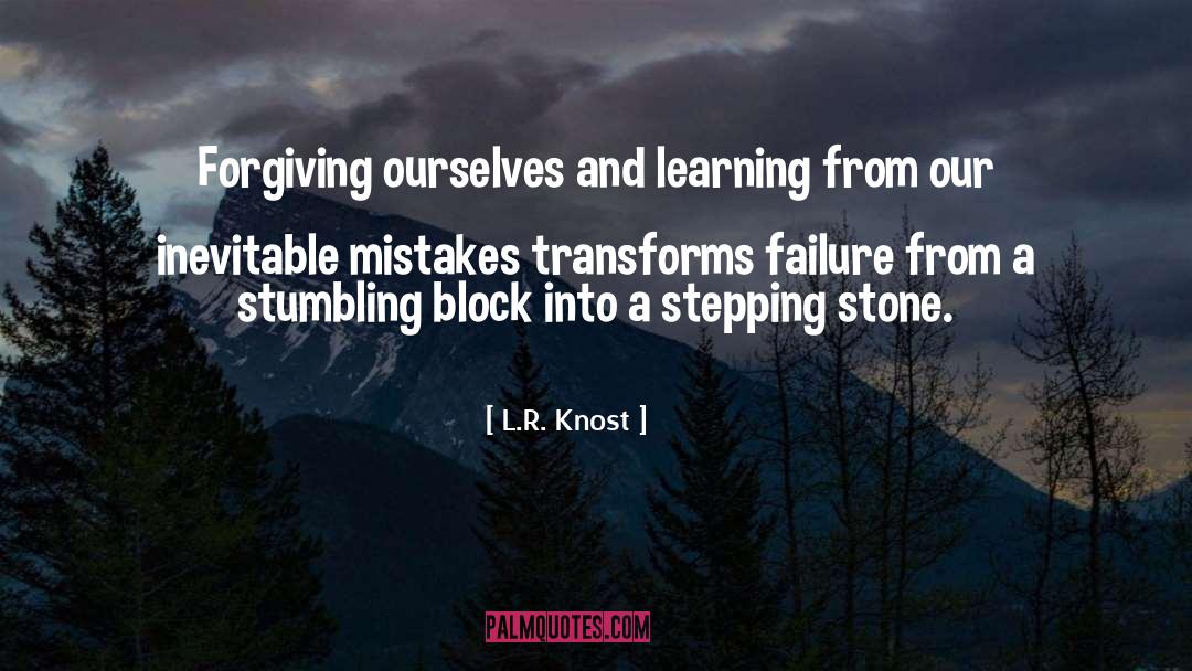 Stepping Stone quotes by L.R. Knost