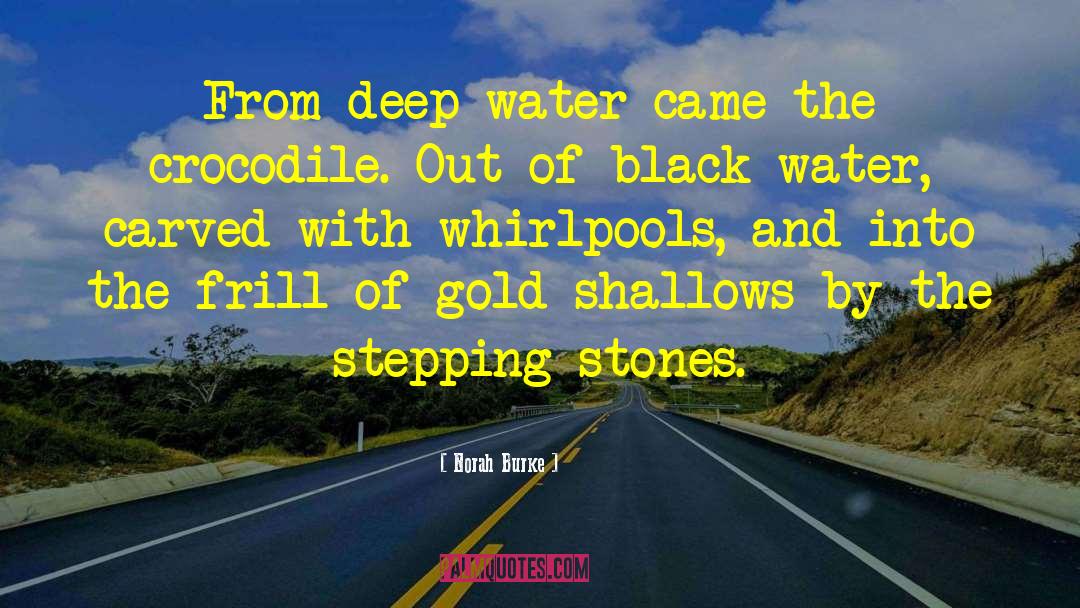 Stepping Stones quotes by Norah Burke