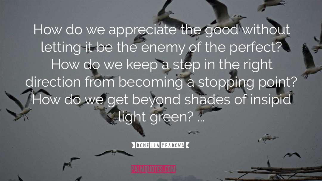 Steps In The Right Direction quotes by Donella Meadows