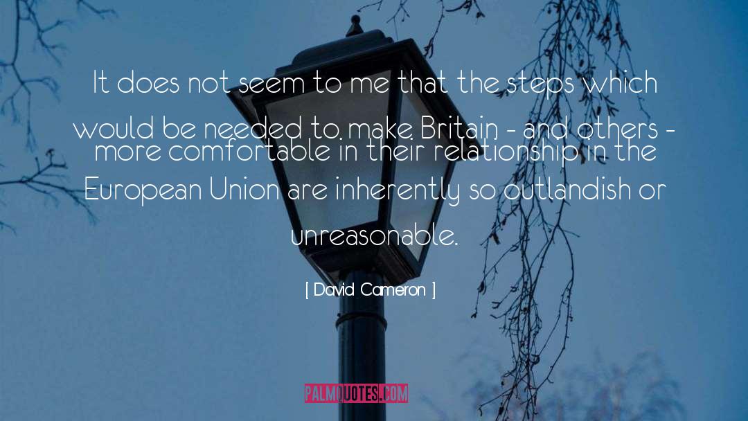 Steps quotes by David Cameron
