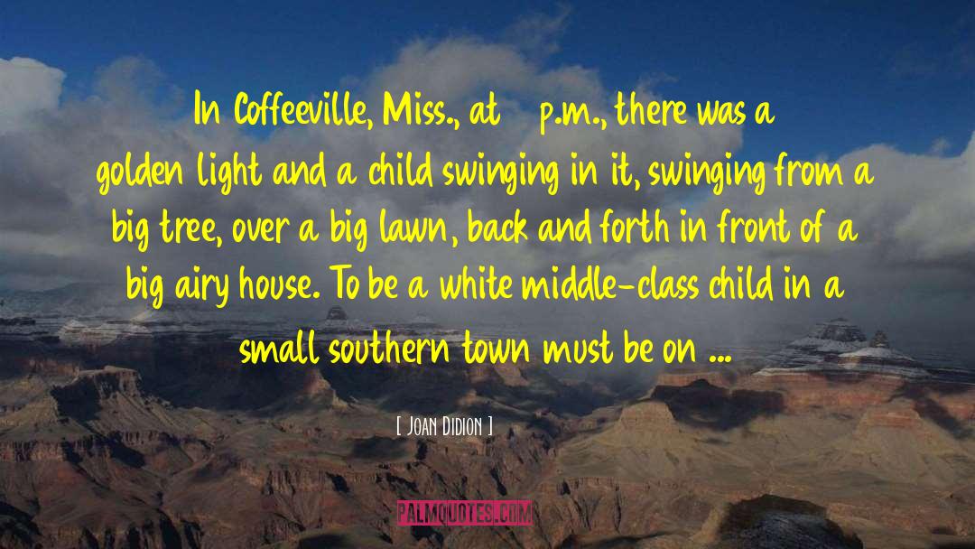 Stereotypical Southern quotes by Joan Didion