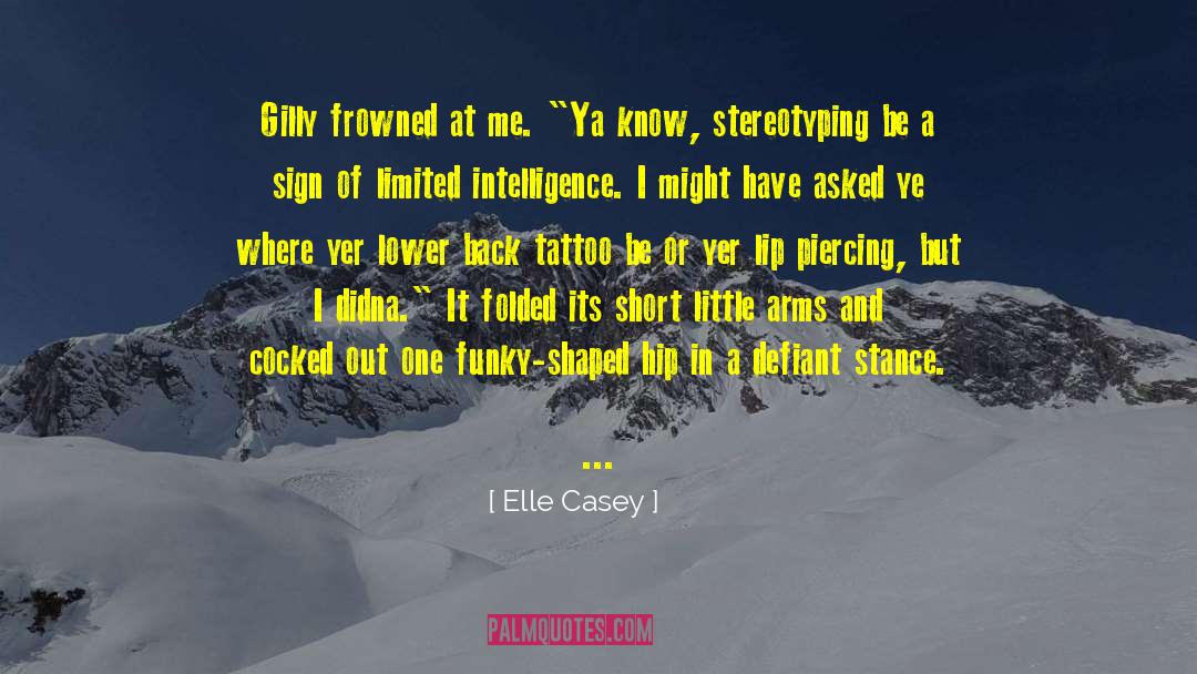 Stereotyping quotes by Elle Casey