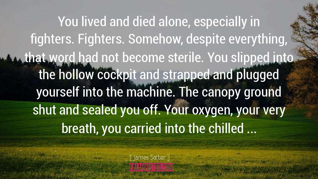 Sterile quotes by James Salter