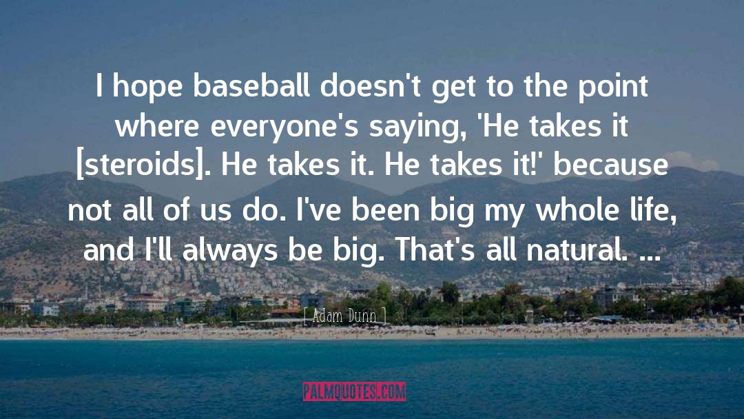 Steroids quotes by Adam Dunn