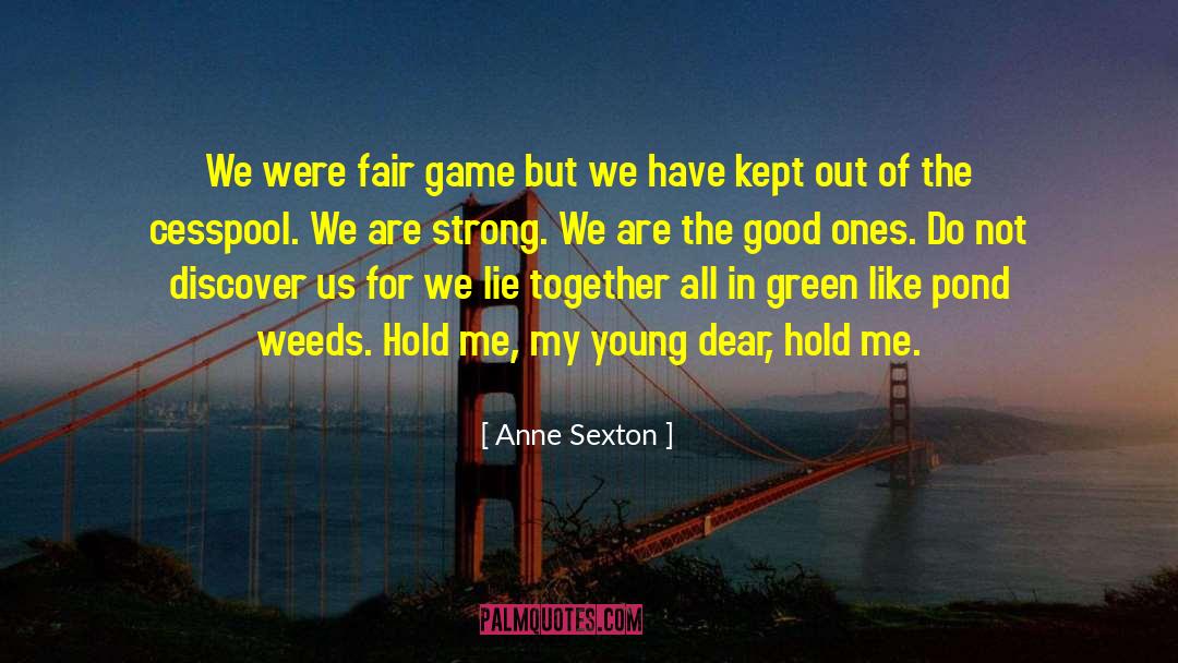 Steve Young quotes by Anne Sexton