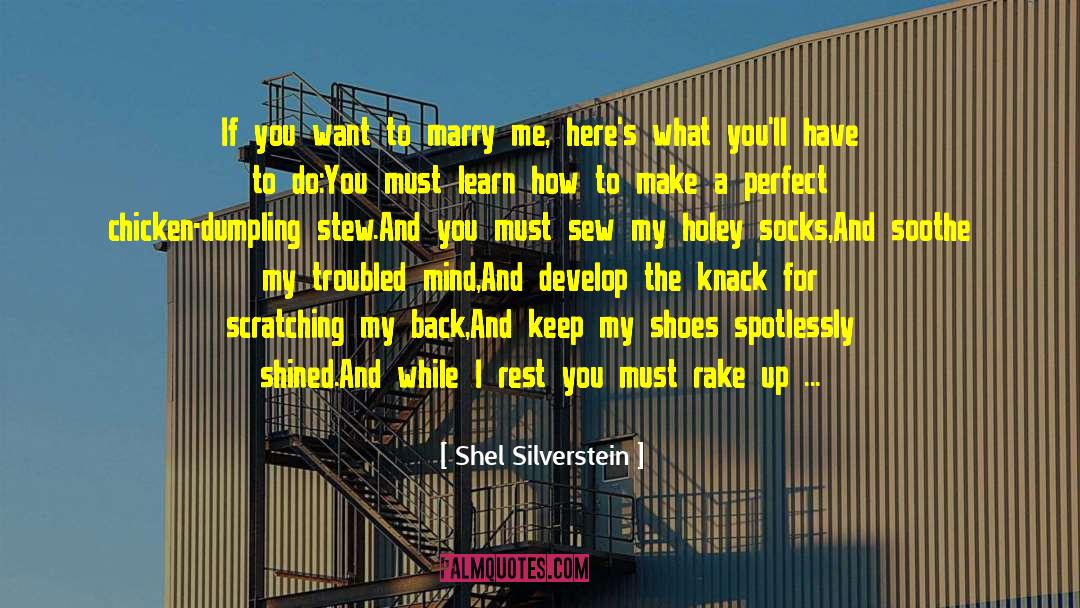 Stew quotes by Shel Silverstein