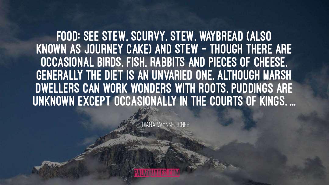 Stew quotes by Diana Wynne Jones