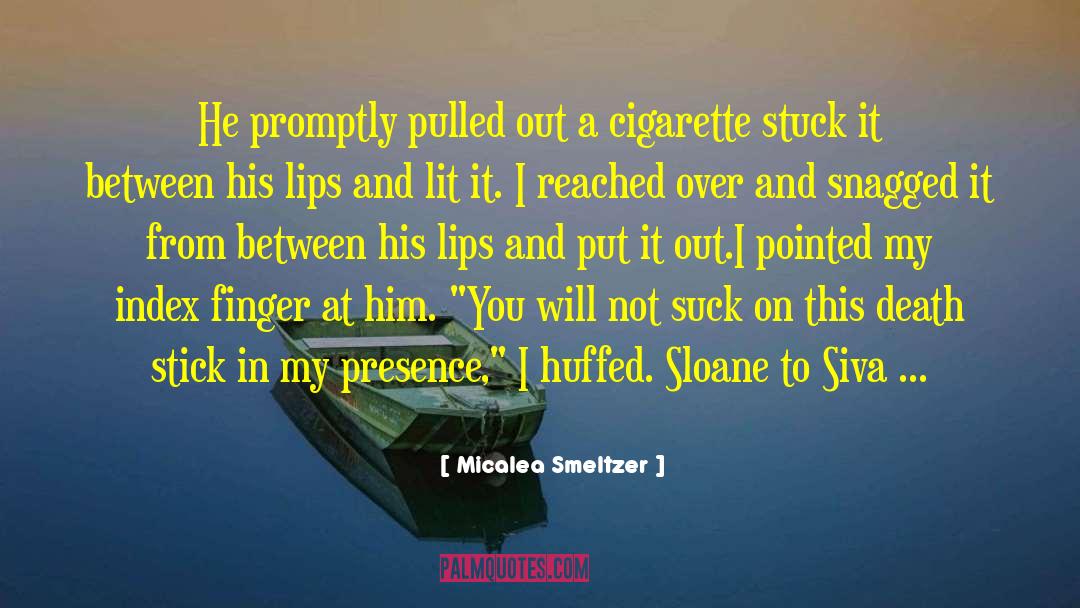Stick It To Em Mel quotes by Micalea Smeltzer