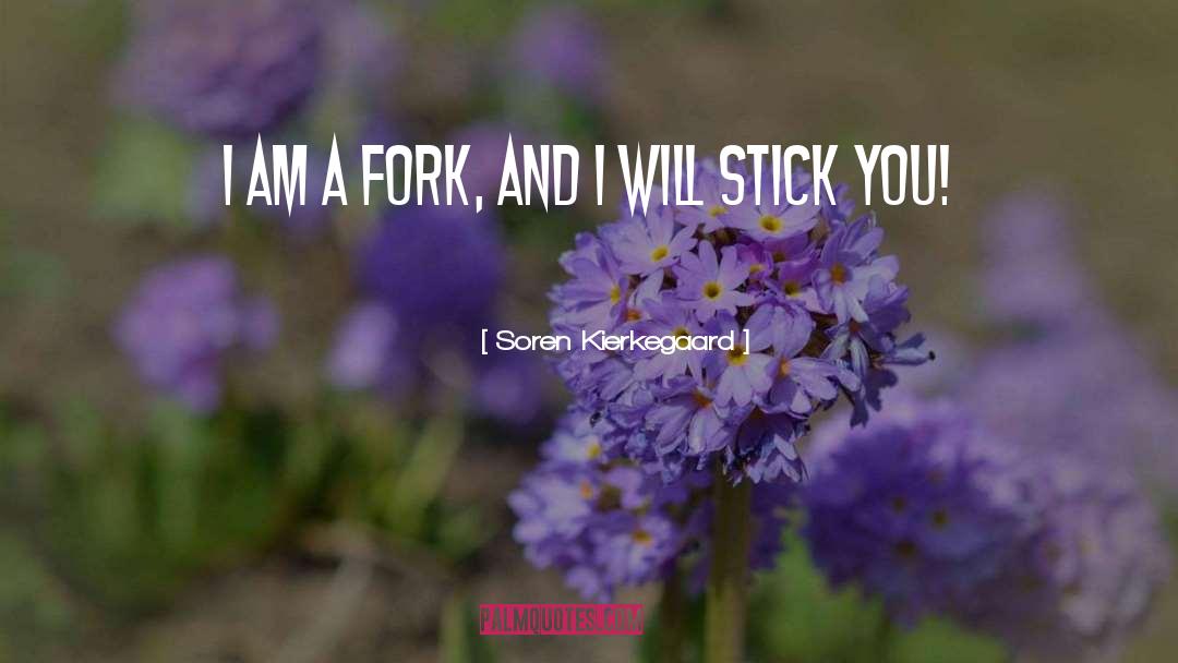 Stick quotes by Soren Kierkegaard