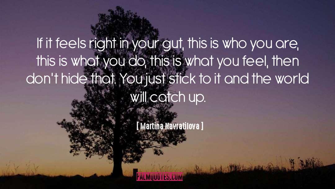 Stick To It quotes by Martina Navratilova