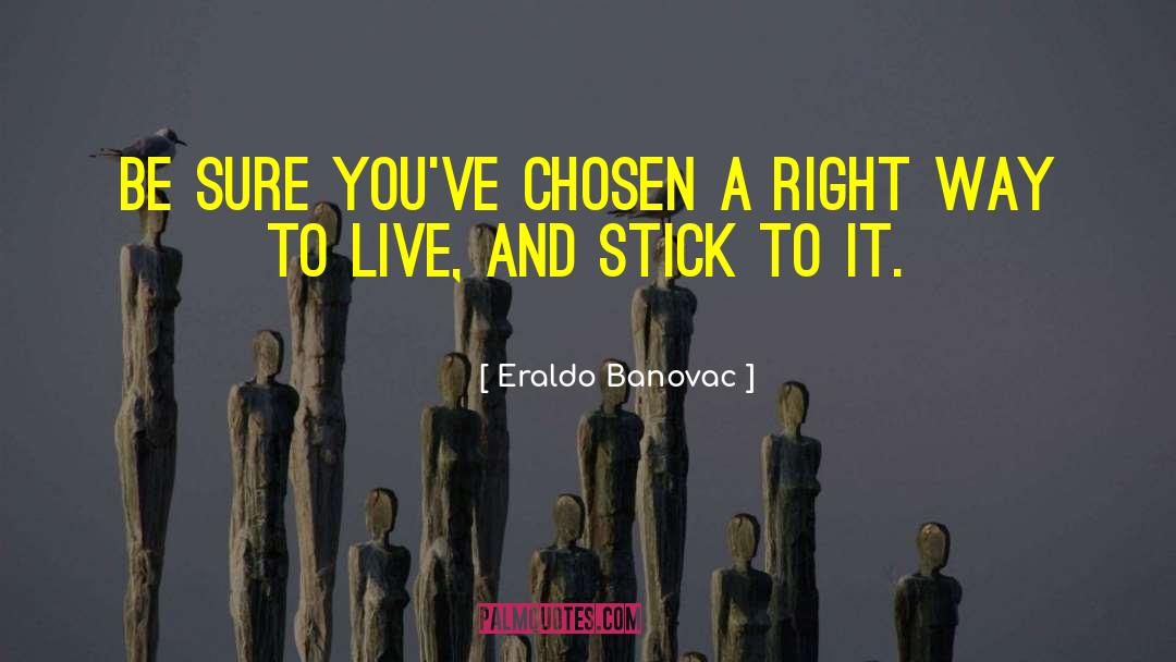 Stick To It quotes by Eraldo Banovac