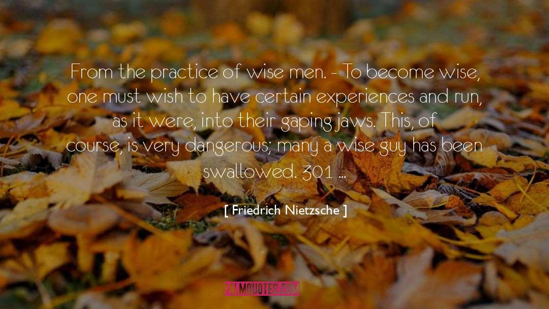 Stick To One Guy quotes by Friedrich Nietzsche
