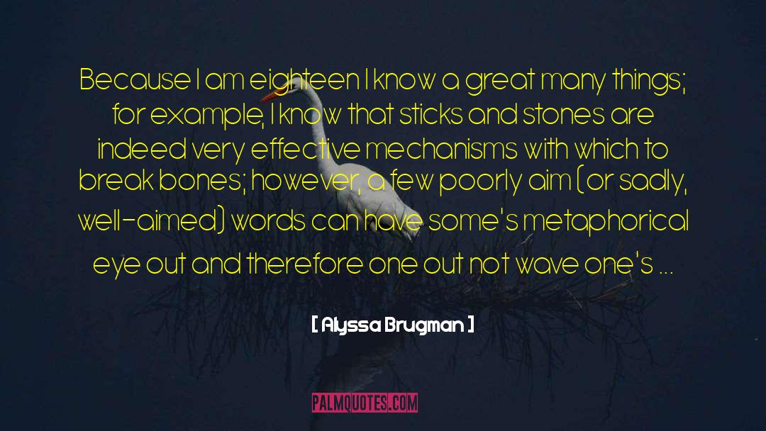 Sticks And Stones quotes by Alyssa Brugman