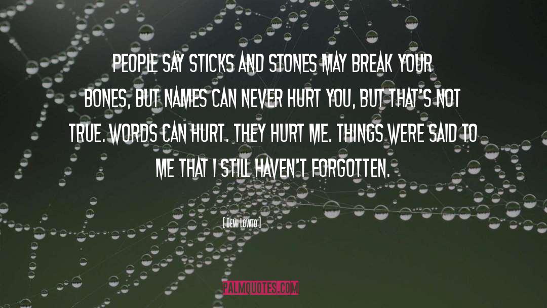 Sticks And Stones quotes by Demi Lovato