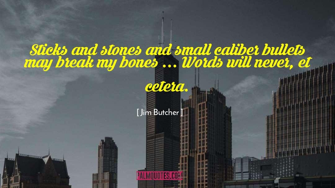 Sticks And Stones quotes by Jim Butcher