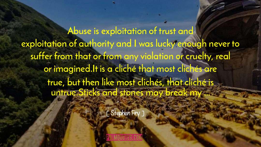 Sticks And Stones quotes by Stephen Fry