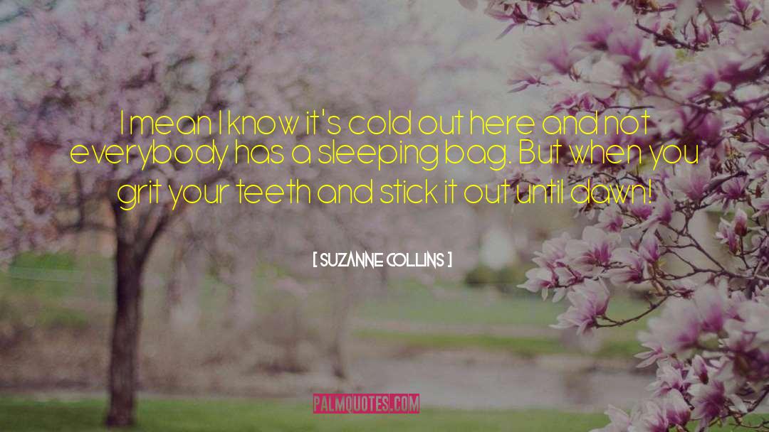 Sticks And Stones quotes by Suzanne Collins
