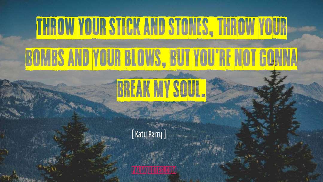 Sticks And Stones quotes by Katy Perry